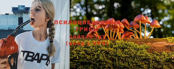 прущие крисы Богородск