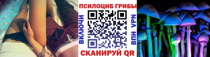 мега ссылка  Ялуторовск  Галлюциногенные грибы Psilocybe  купить закладку 